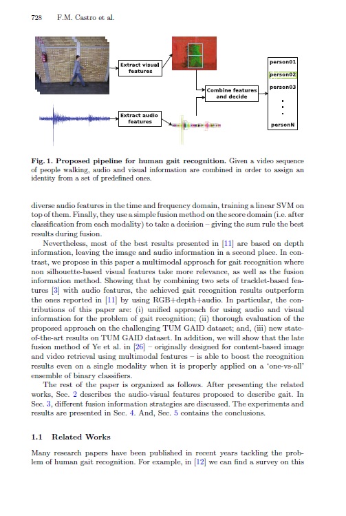 Empirical Study of Audio-Visual Features Fusion for Gait Recognition