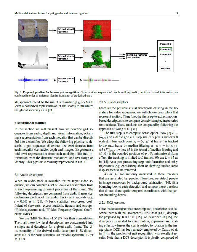 Multimodal features fusion for gait, gender and shoes recognition